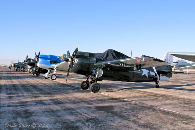 Radial Engine Fighters