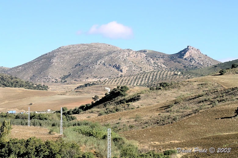 Sierra Nevada Foothills