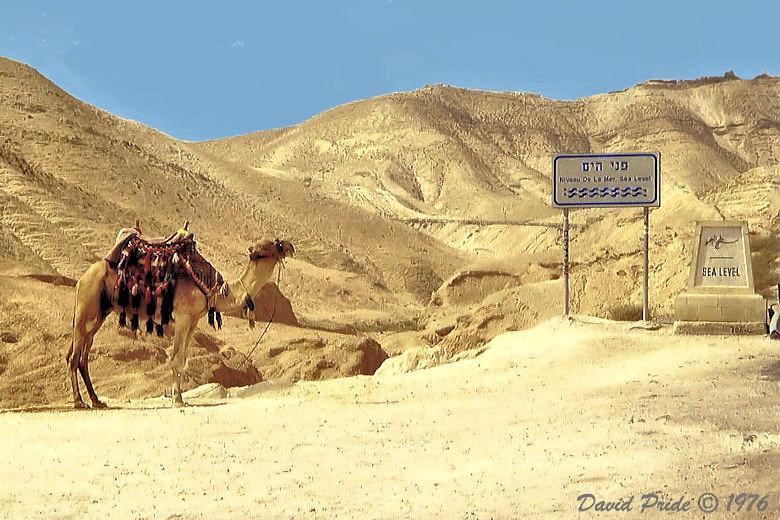 Sea Level in the Judean Desert