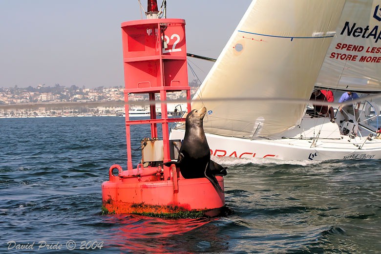 San Diego Bay