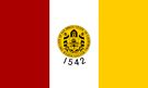 San Diego City Flag