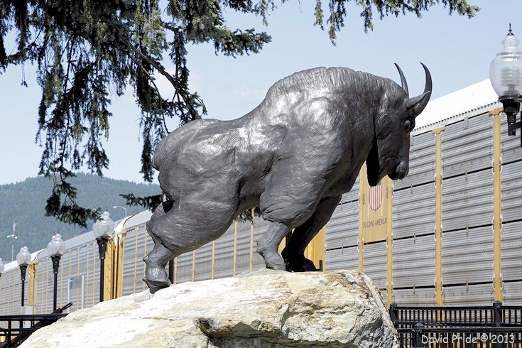 Great Northern Railways Mountain Goat