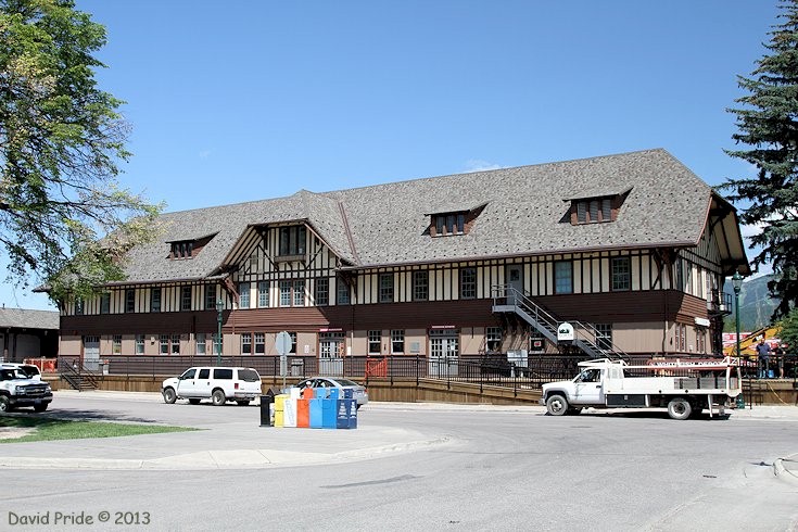 Whitefish