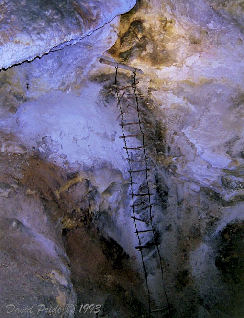 Historic Ladder